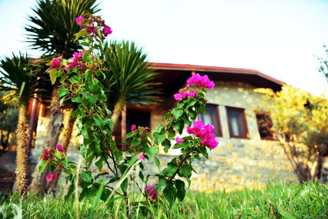 Pir Efes Konaklari Esmirna Exterior foto