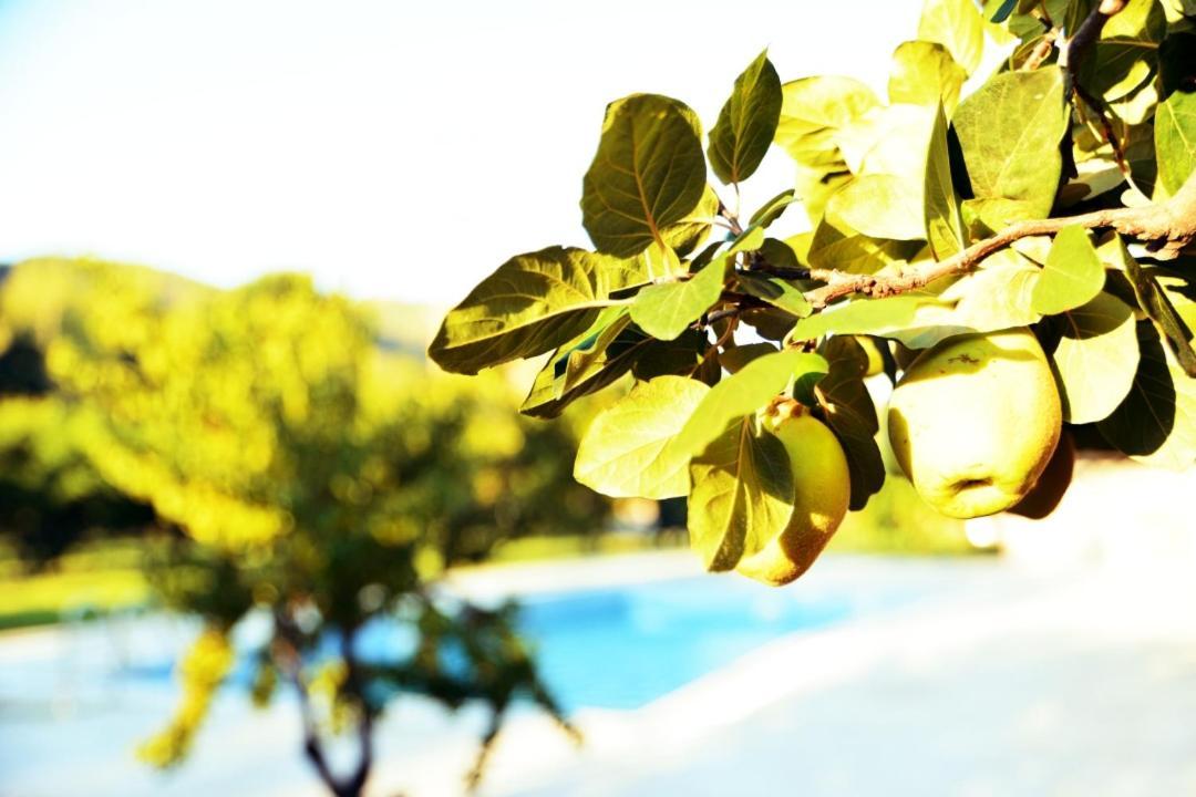 Pir Efes Konaklari Esmirna Exterior foto