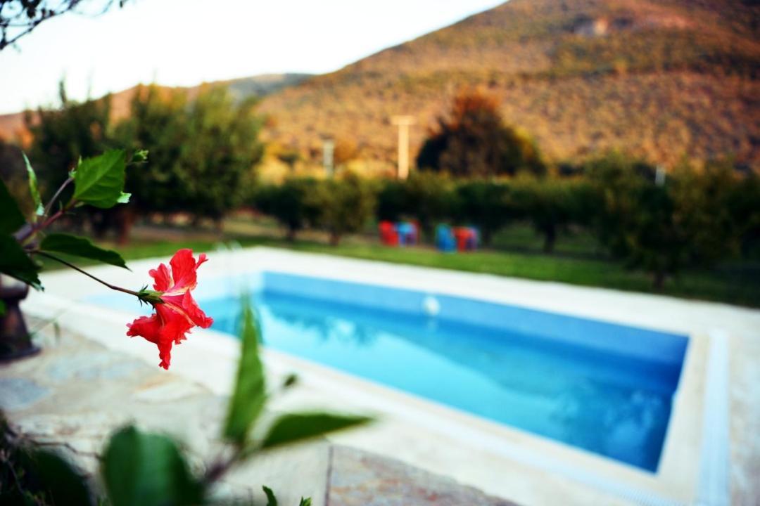 Pir Efes Konaklari Esmirna Exterior foto